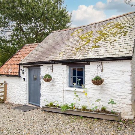 Love Cottage Combe Martin Eksteriør billede